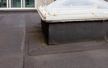 disadvantages of Maiden Newton flat roofs