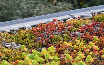 the cost of Maiden Newton green roof installation