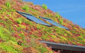 Maiden Newton living roof systems