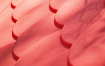 Maiden Newton plastic roof costs