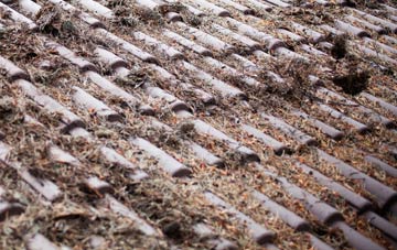 Maiden Newton roof cleaning companies