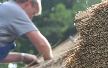 professional Maiden Newton thatchers